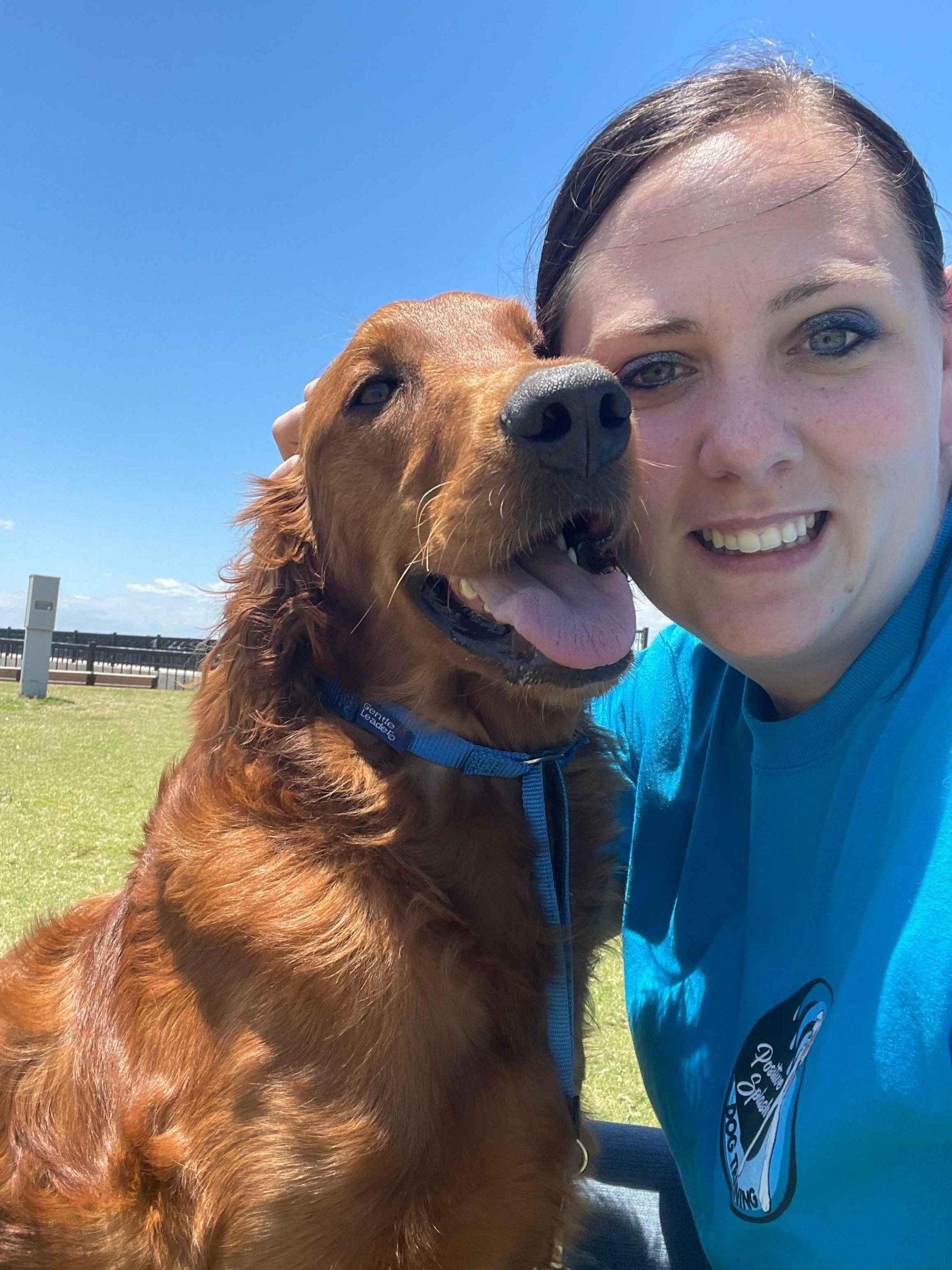 Avoid Surgery! Natural Epulis Treatments For Your Canine Companion - ybv1yaa